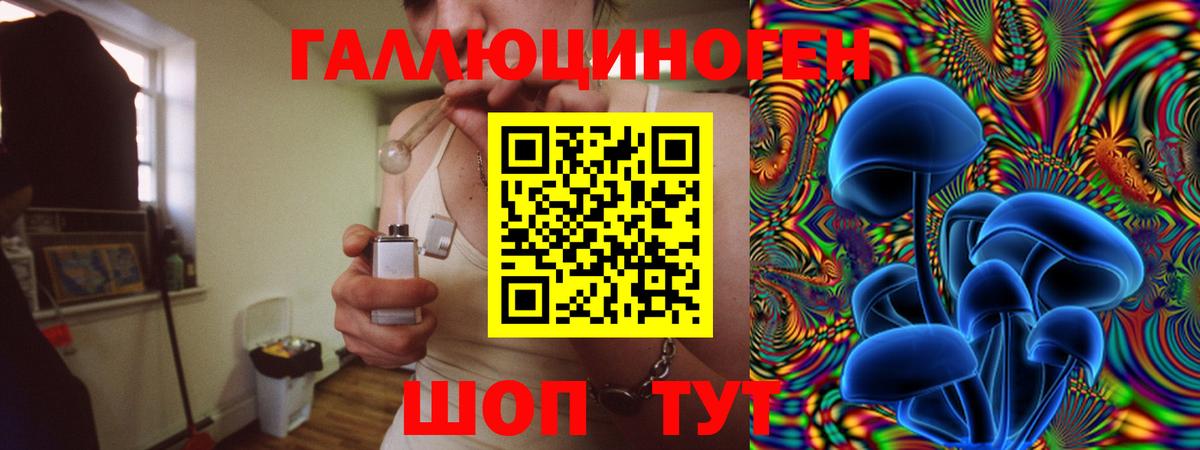 Ковров  Псилоцибиновые грибы Psilocybe  Вход с VPN 