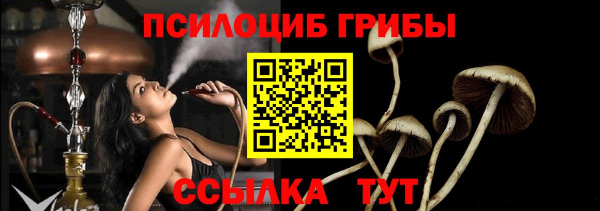 Галлюциногенные грибы Magic Shrooms Ковров